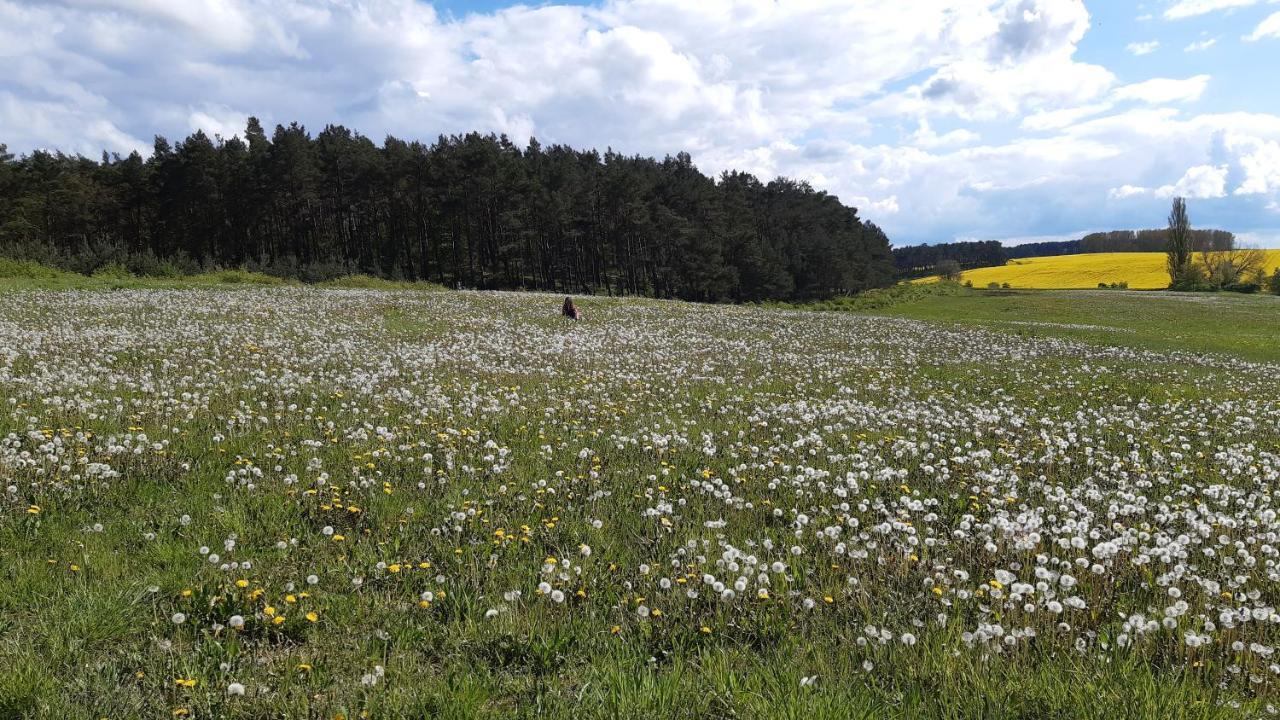 Christianshof Insel Usedom Lägenhet Stoben Exteriör bild